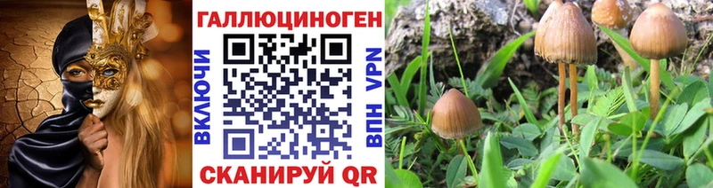 Купить где  Архангельск  Псилоцибиновые грибы ЛСД 